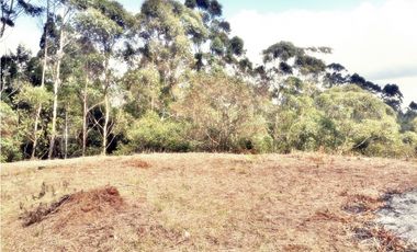 LOTE CON 8.300 M² PARCELACION ABIERTA EN VEREDA LOS PINOS