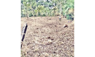 LOTE EN VEREDA LOS PINOS