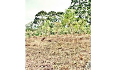 LOTE EN VEREDA LOS PINOS