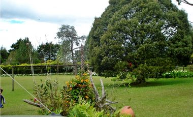 Casa campestre para arriendo cerca del aeropuerto JMC