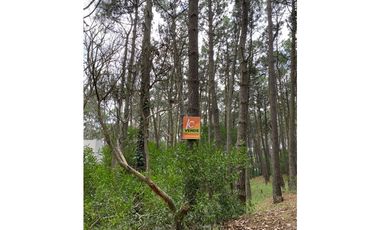TERRENOS en MAR AZUL. SE VENDEN JUNTOS O POR SEPARADO