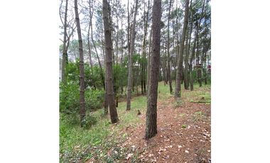 TERRENOS en MAR AZUL. SE VENDEN JUNTOS O POR SEPARADO