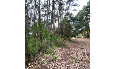 TERRENOS en MAR AZUL. SE VENDEN JUNTOS O POR SEPARADO