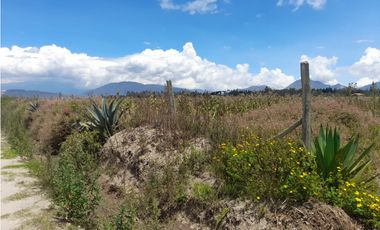 EN VENTA TERRENO DE 4102 METROS  MALCHINGUI  MV