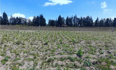 EN VENTA TERRENO DE 4102 METROS  MALCHINGUI  MV