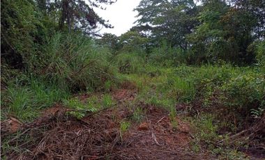 SEA CONFIABLE VENDE TERRENO EN PACORA