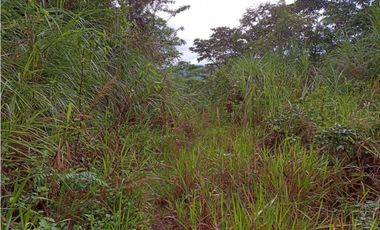 SEA CONFIABLE VENDE TERRENO EN PACORA