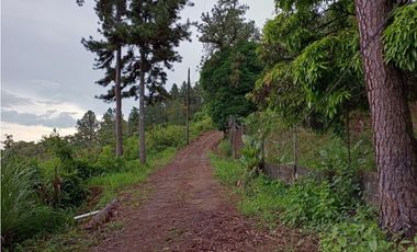 SEA CONFIABLE VENDE TERRENO EN PACORA