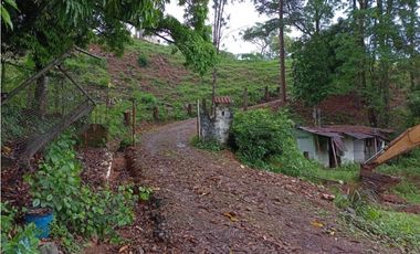 SEA CONFIABLE VENDE TERRENO EN PACORA