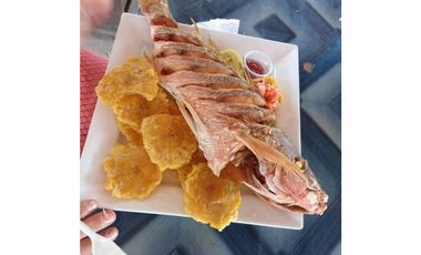 VENDO 20 HECTAREAS EN MIRAMAR CON PLAYA