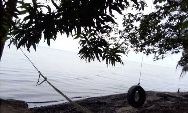 VENDO 20 HECTAREAS EN MIRAMAR CON PLAYA