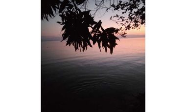 VENDO 20 HECTAREAS EN MIRAMAR CON PLAYA