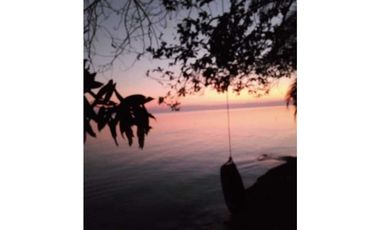 VENDO 20 HECTAREAS EN MIRAMAR CON PLAYA