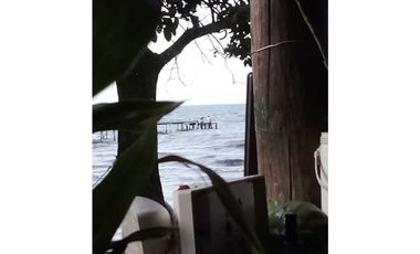 VENDO 20 HECTAREAS EN MIRAMAR CON PLAYA