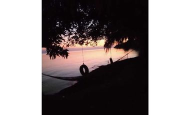 VENDO 20 HECTAREAS EN MIRAMAR CON PLAYA