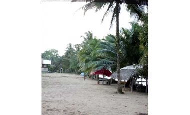 VENDO 20 HECTAREAS EN MIRAMAR CON PLAYA