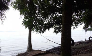 VENDO 20 HECTAREAS EN MIRAMAR CON PLAYA