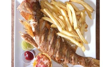 VENDO 20 HECTAREAS EN MIRAMAR CON PLAYA