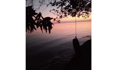 VENDO 20 HECTAREAS EN MIRAMAR CON PLAYA