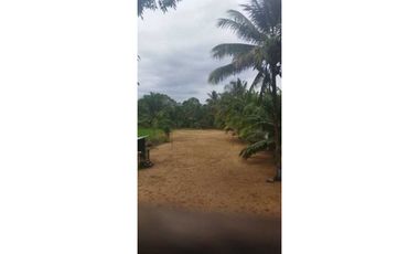 VENDO 20 HECTAREAS EN MIRAMAR CON PLAYA