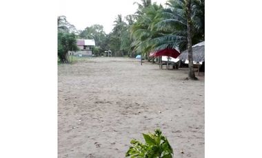 VENDO 20 HECTAREAS EN MIRAMAR CON PLAYA