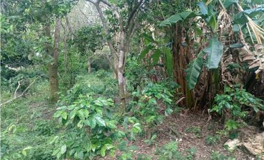 VENDO CASA FUNCIONAL CON LOTE DE 5182M2