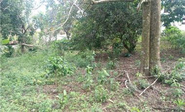 VENDO CASA FUNCIONAL CON LOTE DE 5182M2