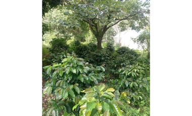 VENDO CASA FUNCIONAL CON LOTE DE 5182M2