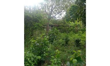 VENDO CASA FUNCIONAL CON LOTE DE 5182M2