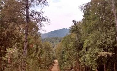 Parcela en Venta en Camino Termas de Chillan Km 47