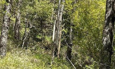 Parcela en Venta en Camino Termas de Chillan Km 47