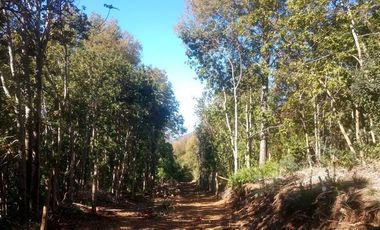 Parcela en Venta en Camino Termas de Chillan Km 47