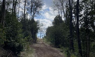 Parcela en Venta en Camino Termas de Chillan Km 47