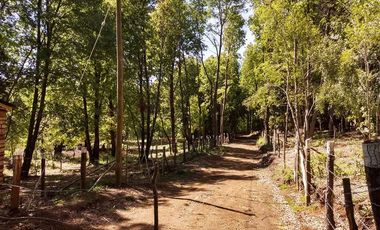 Parcela en Venta en Camino Termas de Chillan Km 47