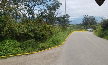 Terreno de venta en Lentag - Guabaloma – código:16824