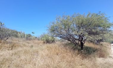 Terreno en venta en Hacienda Yexthó, Tecozautla, Hidalgo.