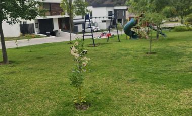 Terreno en Venta Fracc. Los Robles, frente al club