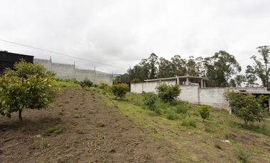 Cayambe, Terreno en venta, 1860 m2, construcción de 140 m2, arboles frutales