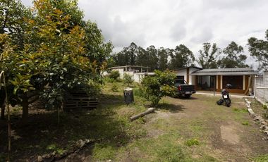 Cayambe, Terreno en venta, 1860 m2, construcción de 140 m2, arboles frutales
