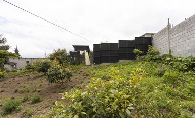 Cayambe, Terreno en venta, 1860 m2, construcción de 140 m2, arboles frutales