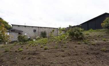 Cayambe, Terreno en venta, 1860 m2, construcción de 140 m2, arboles frutales