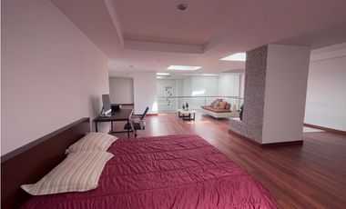 RENTA, PONCEANO, AMOBLADO, 4 DORMITORIOS, 2 ESTACIONAMIENTOS