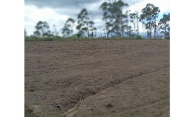 Cochasqui, Terreno en venta, 614.300 m2, cos total 60, frente 465 m