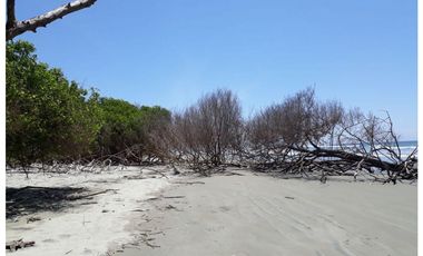 Muisne, Terreno en venta, 30 hectáreas, planimetrias