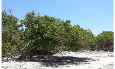 Muisne, Terreno en venta, 30 hectáreas, planimetrias