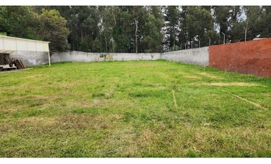 Conocoto, Galpón en  Renta, 1050m2,  3 Ambientes.