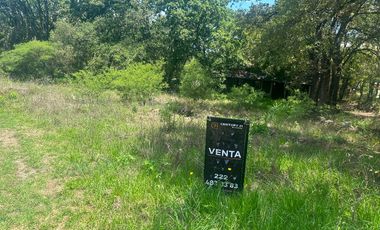 Terreno en venta de 1000 m2 Cruz de Sabinos Ciudad Ecológica