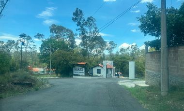 Terreno en venta de 1000 m2 Cruz de Sabinos Ciudad Ecológica