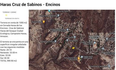 Terreno en venta de 1000 m2 Cruz de Sabinos Ciudad Ecológica