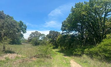Terreno en venta de 1000 m2 Cruz de Sabinos Ciudad Ecológica